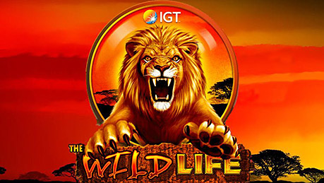 wild life logo